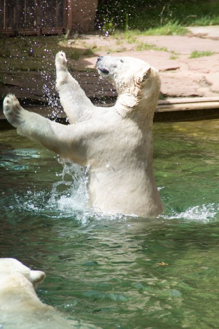 Wasserschlacht