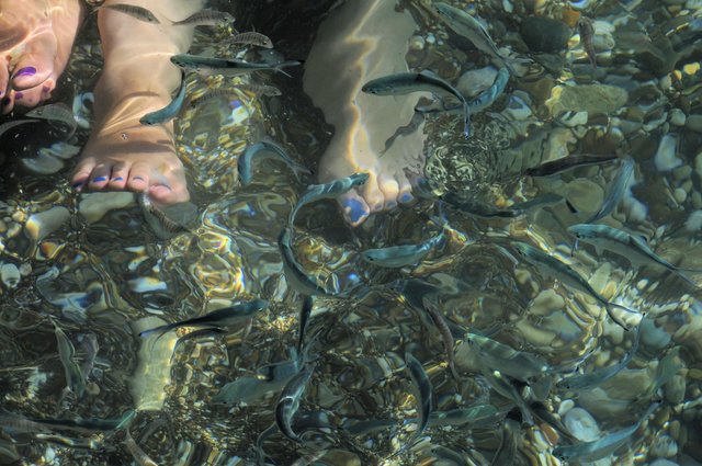 Fische treffen Füße