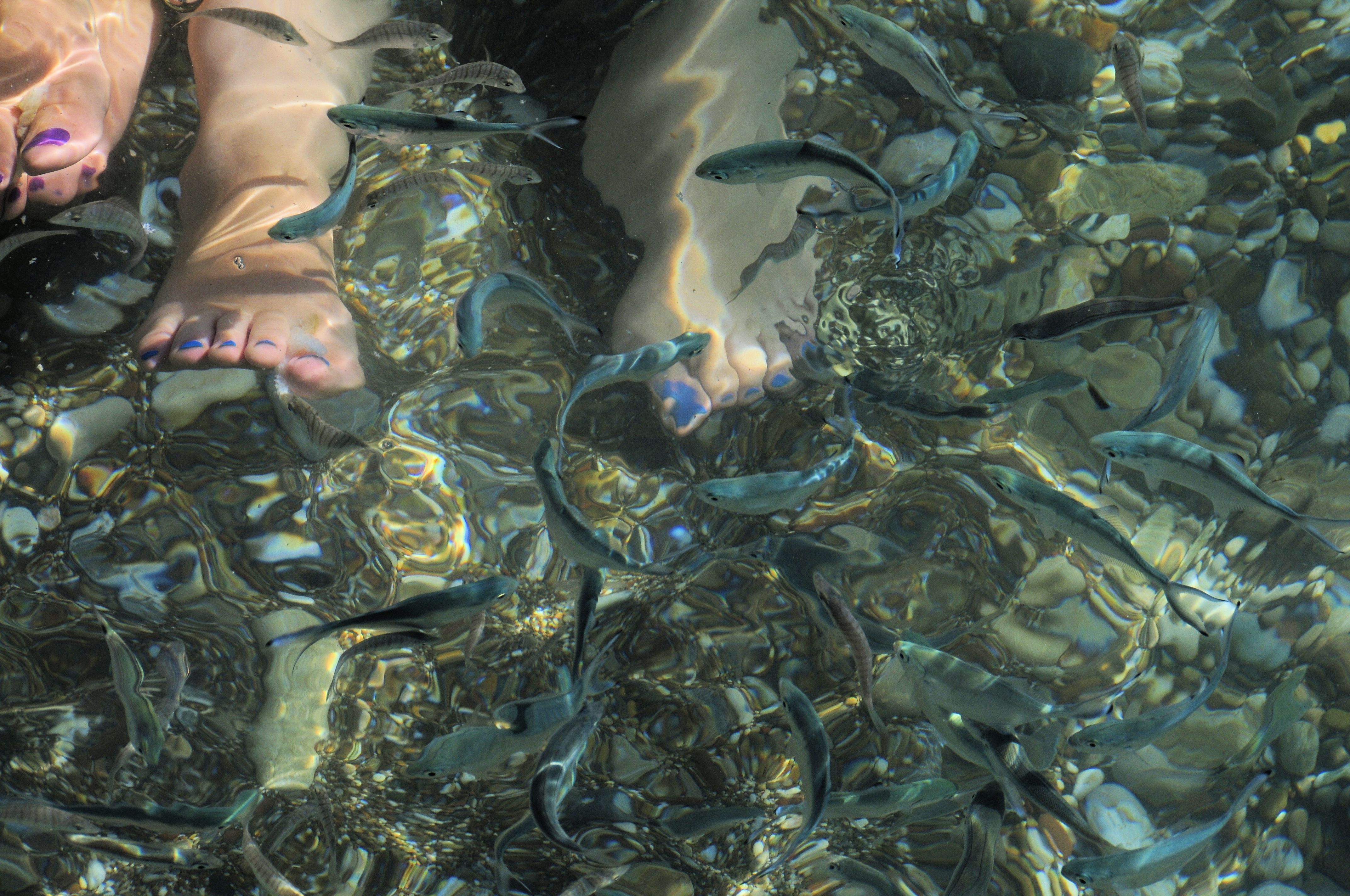 Fische treffen Füße