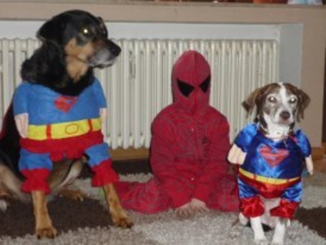 Superdog's :)