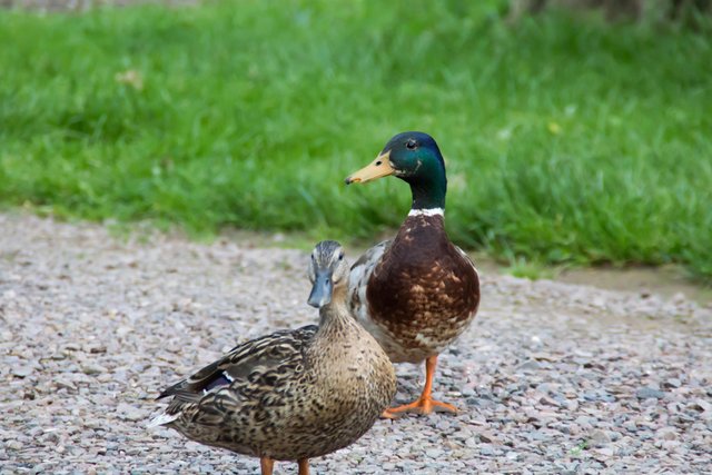 Sonntagsspaziergang