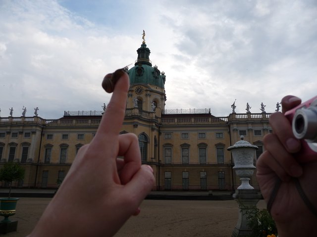 Schnecke besteigt die Dächer über Berlin
