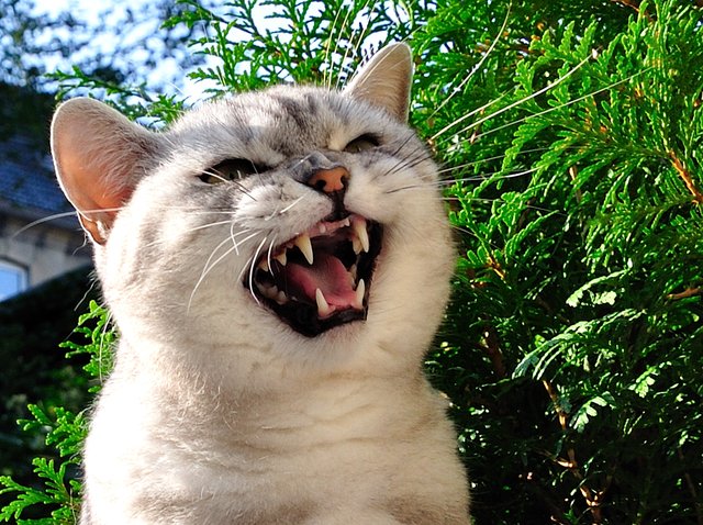 Worrrrrrrrrrrrrrrrrrrrrrrrr