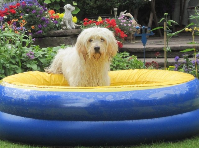 Badezeit