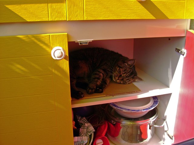 Katze, Balkon immer im Schrank