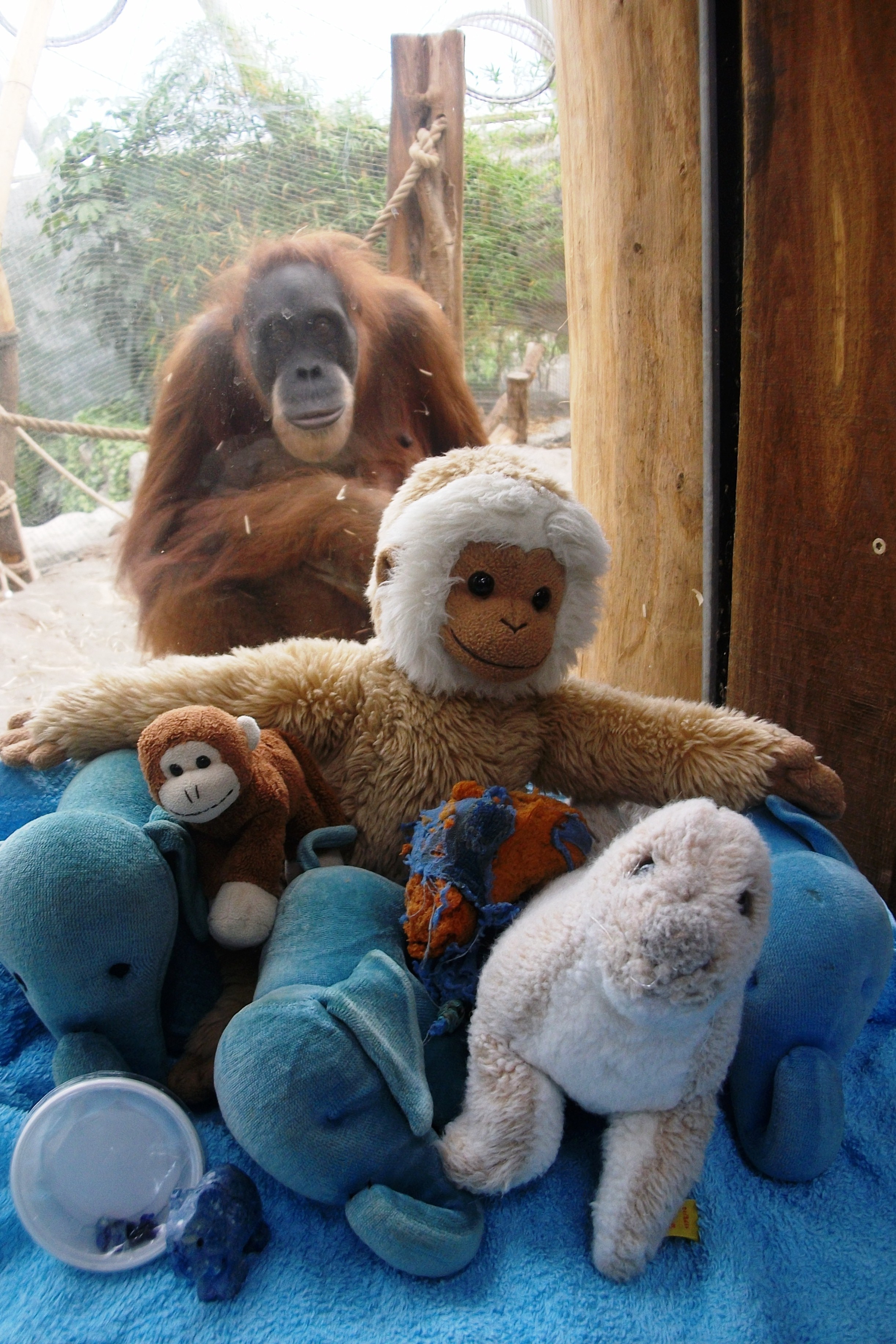 Besuch bei der Verwandtschaft