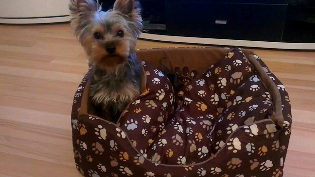 Hier ist noch ein Platz frei :-)