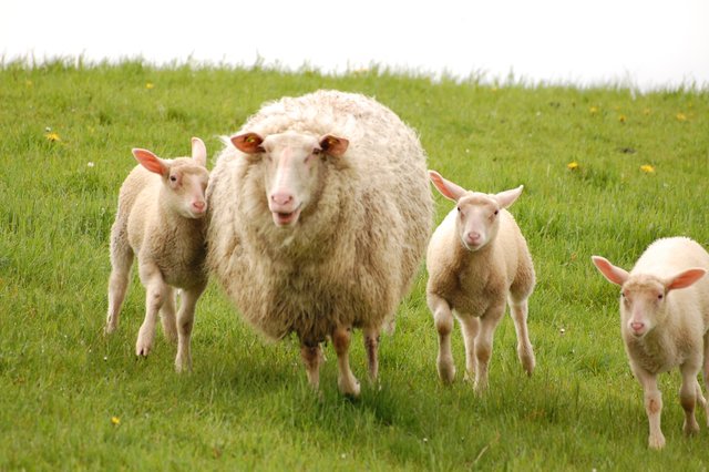 " Achtung, Achtung, schnell weg hier, bald ist Ostern "