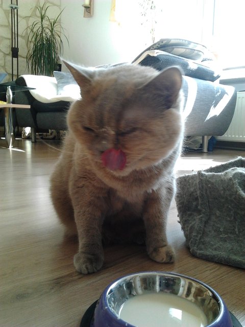 Milch - lecker