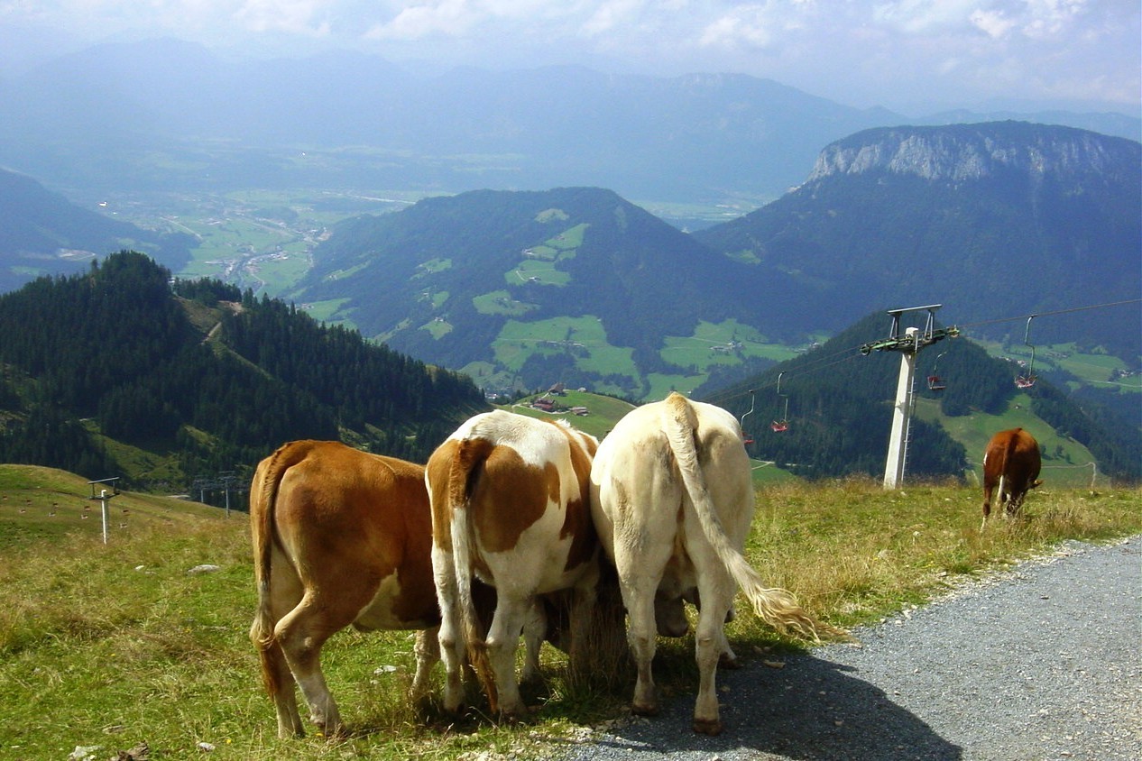 Schöne Aussicht