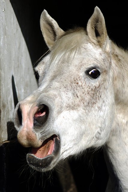 was willst du.....