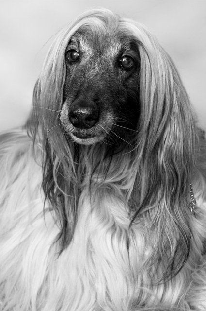 wo sind meine locken geblieben....