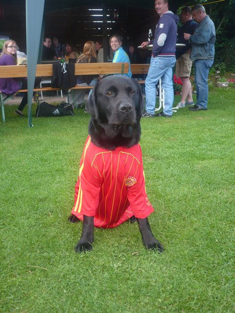 Europameister 2012