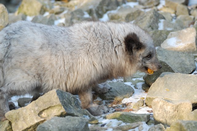 "Mhhh, das war lecker!"