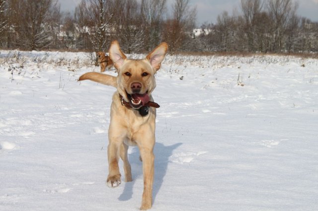 Ich bin im Schnee jucheee!!