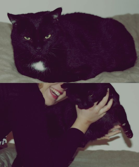 ...versuch mit Kater auf einem Bild zu sein , gescheitert :D