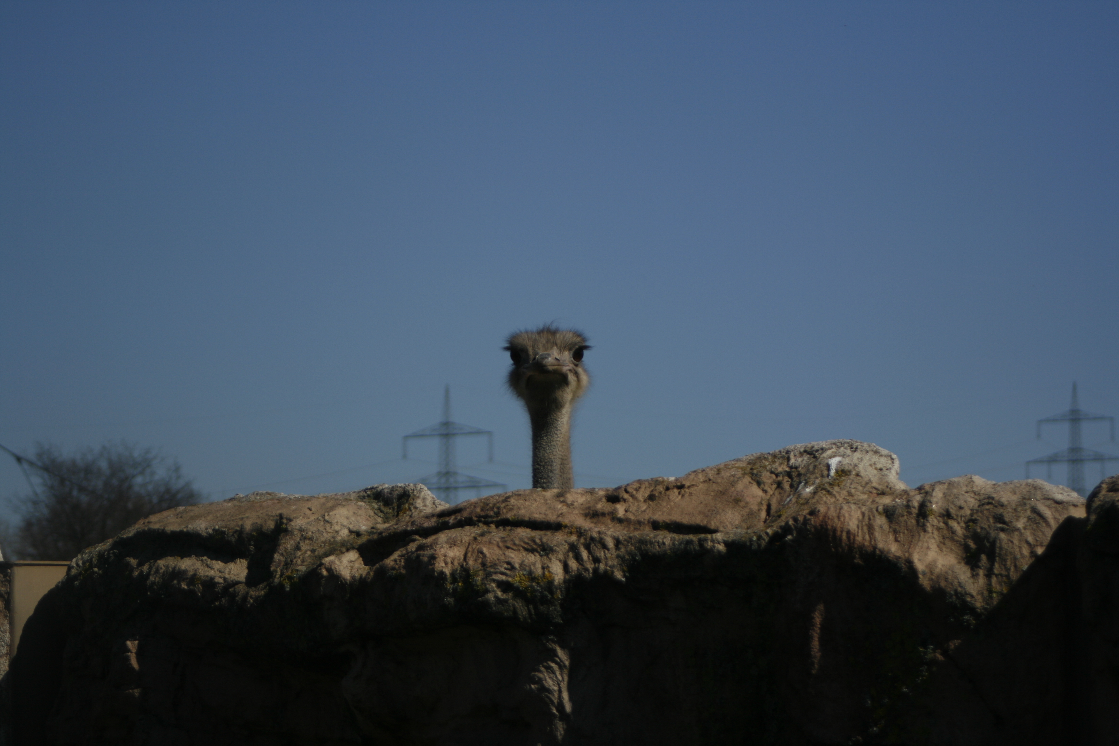 Was guckst du?