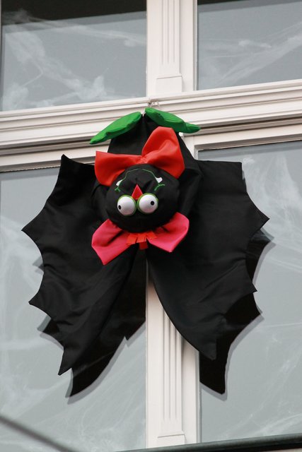 Fledermaus