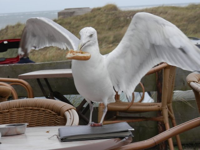 Der kleine Hunger