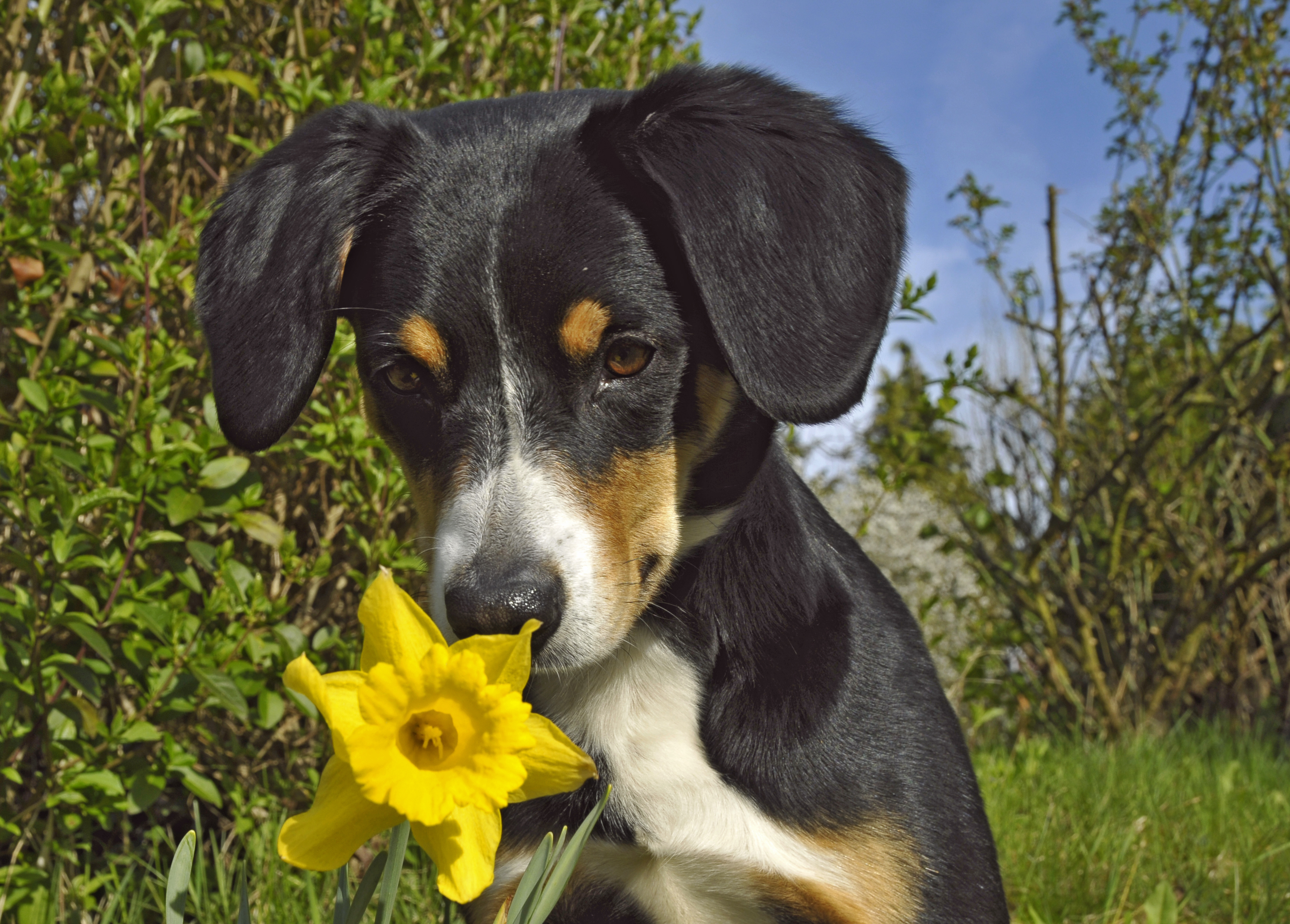 Ida begrüßt den Frühling.