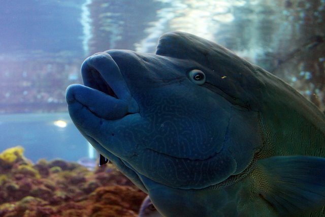 Unterwasserwelt