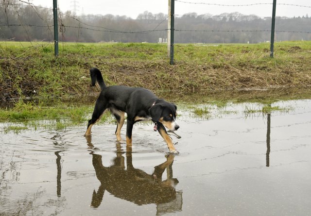 Unterwegs beim Ruhrhochwasser (1)