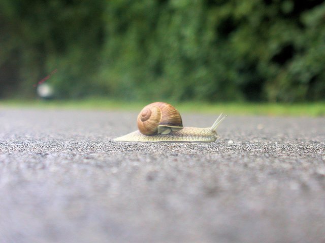 Asphaltrennschnecke