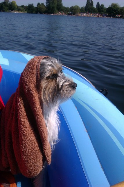 Gina liebt Bootfahren