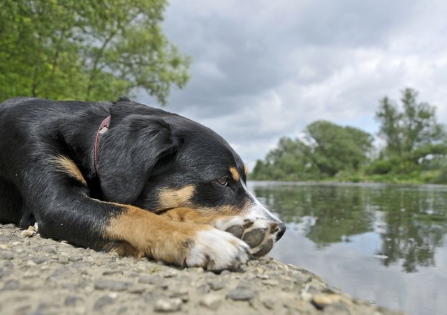 Verdientes Päuschen an der Ruhr.