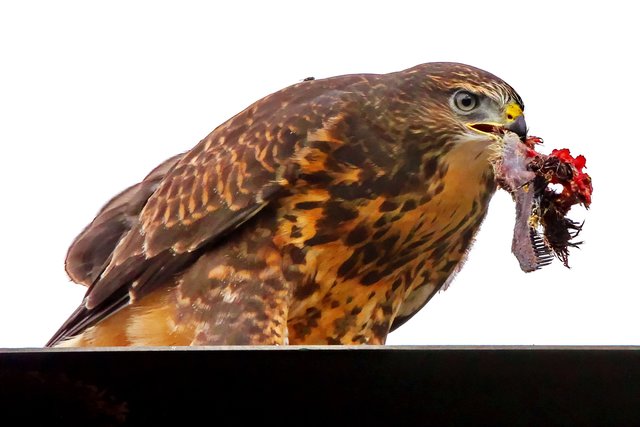 mhhh...lecker...;-)