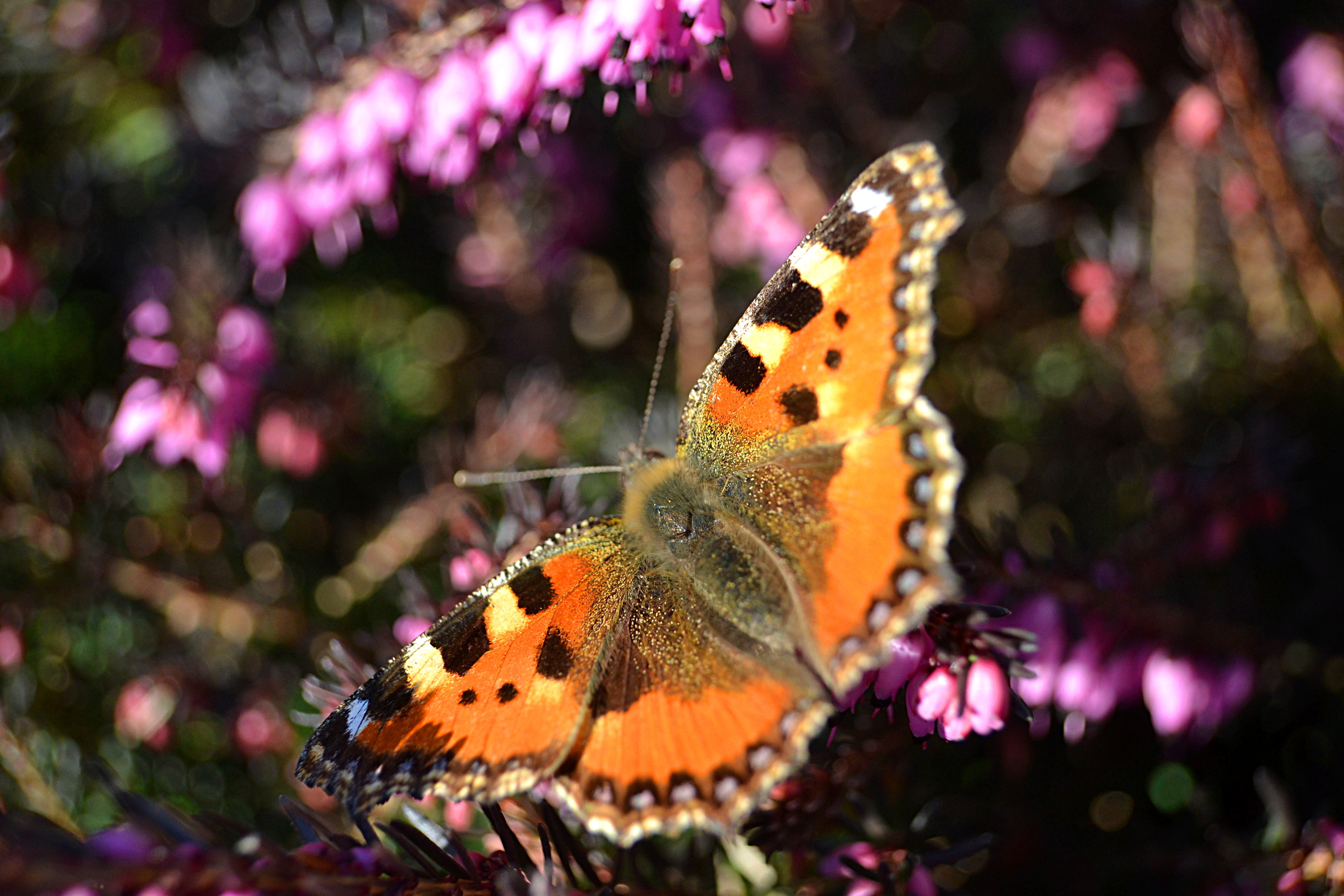 Frühlingsfarben