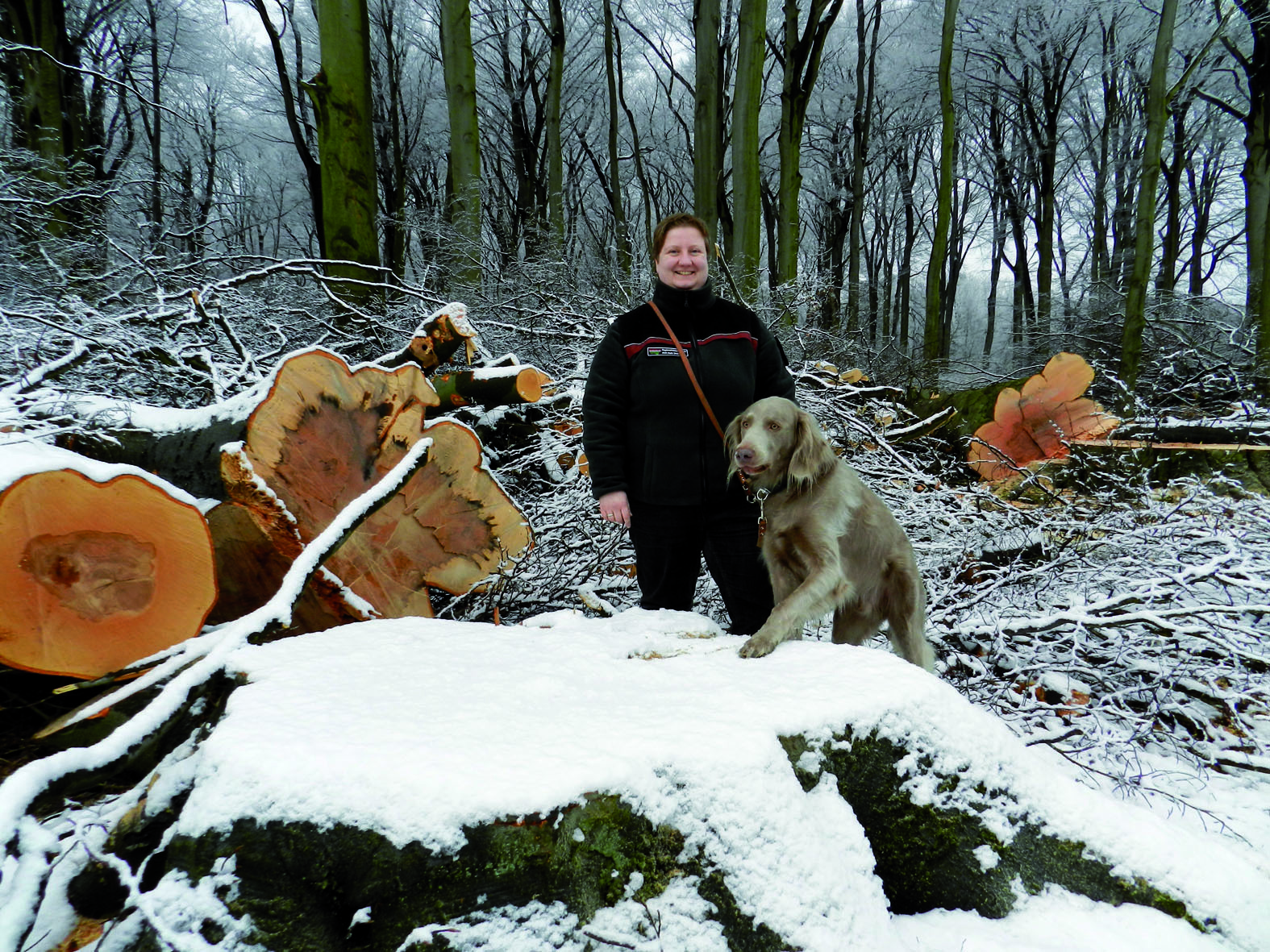 Försterin Manuela Arens mit ihrem Hund Apollo bei den Baumfällarbeiten an der Flaesheimer Straße...