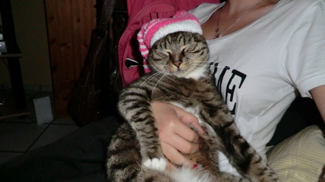 MC Gonagall 8 Jahre alt