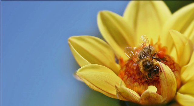Der Sommer kann kommen