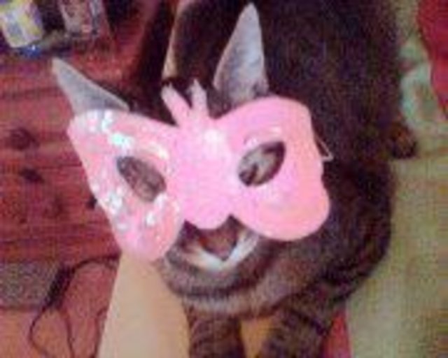 Karneval