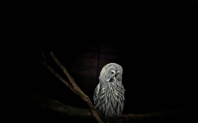 und immer,wenn es Nacht wird...