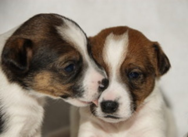 Ich liebe Dich!!!!!!!!!!!!!!!!!!!!!!!