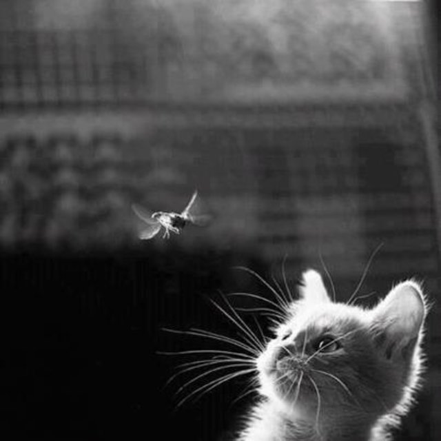 i believe i can fly :o)