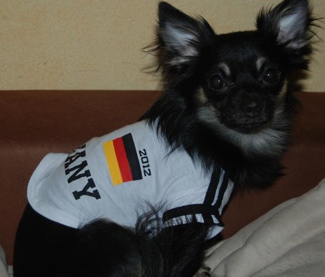 Die nächste WM kann kommen
