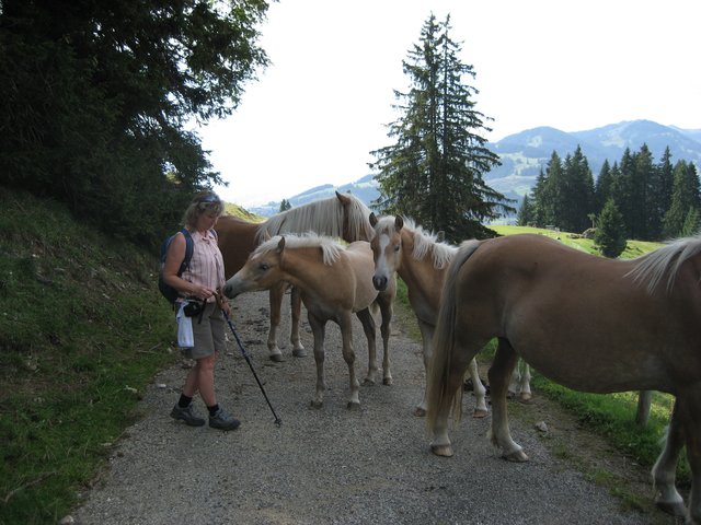 Wie zutraulich