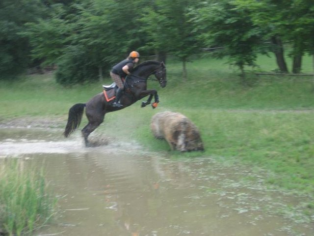 und HOPP
