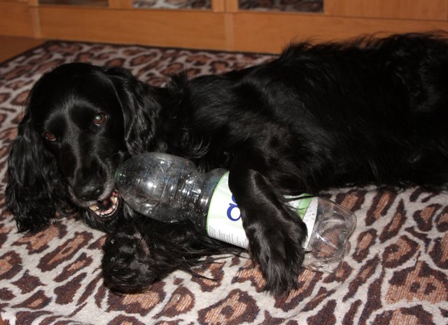 Ich öffne jede Flasche