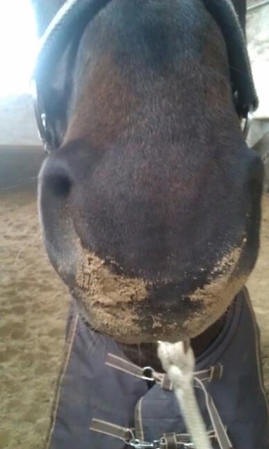 Nase voll vom Winter...