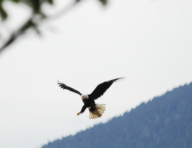 Landing