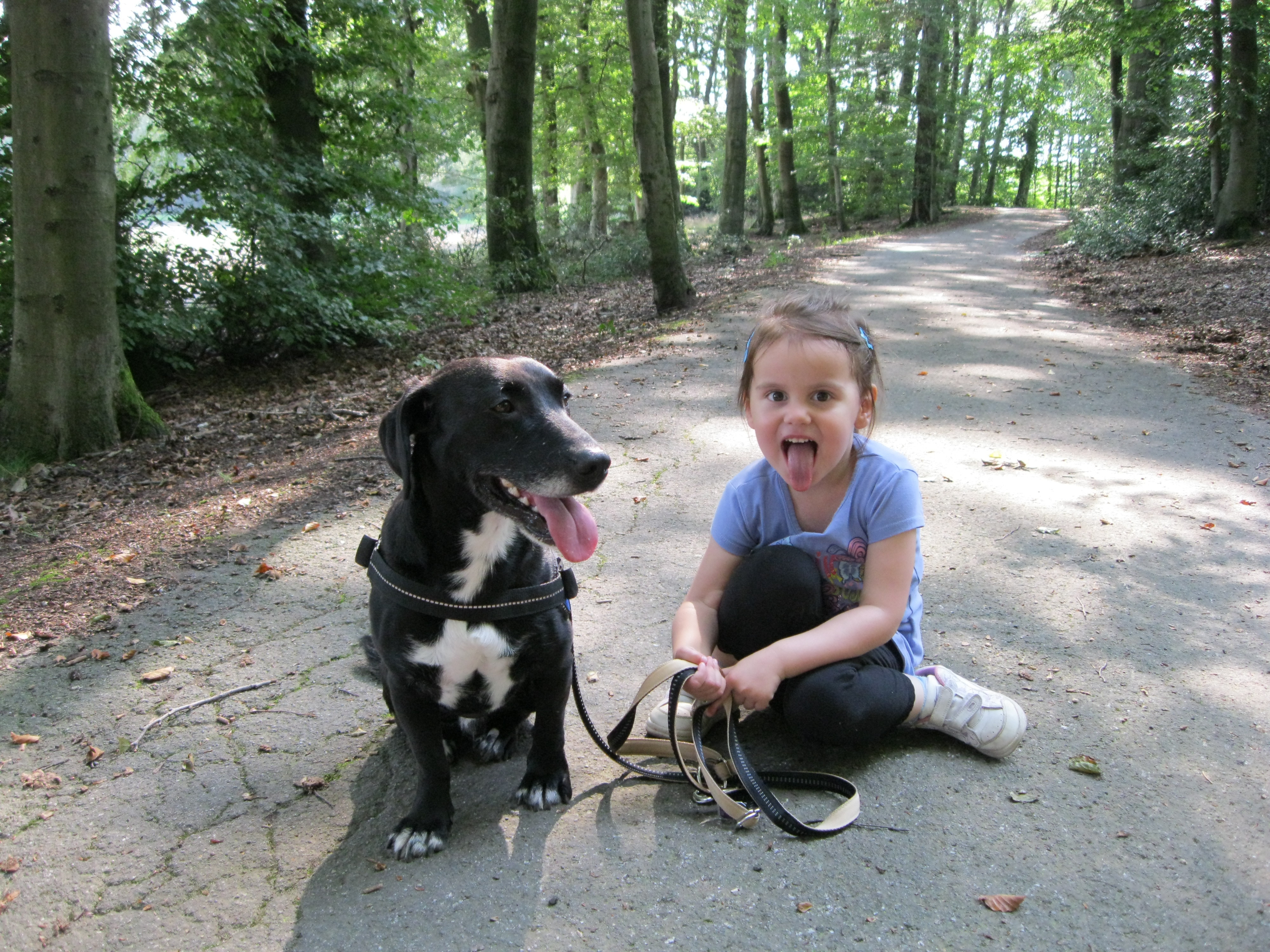 Hundstage