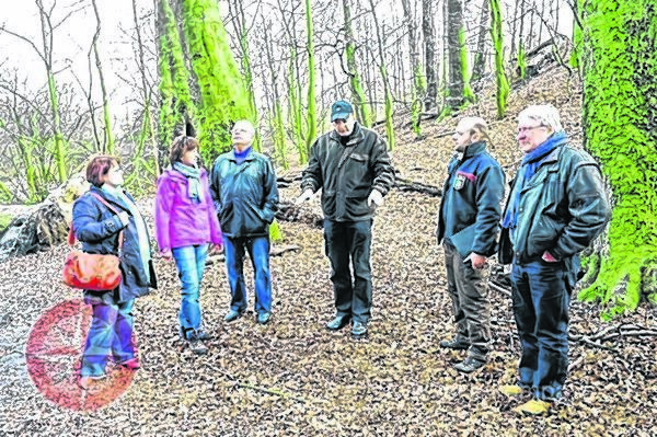 Von im vergangenen Jahr war das Buchenwäldchen in Schönebeck Thema der Politik. Jetzt soll die Fläche doch mit einem Zaun eingefriedet werden.