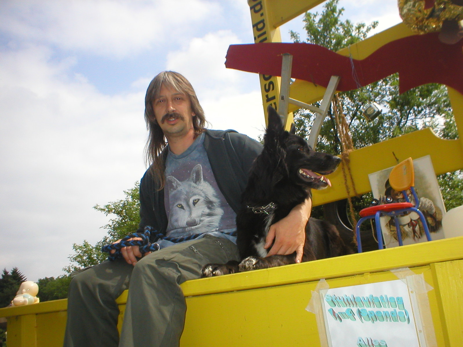 Hund auf Stuhl