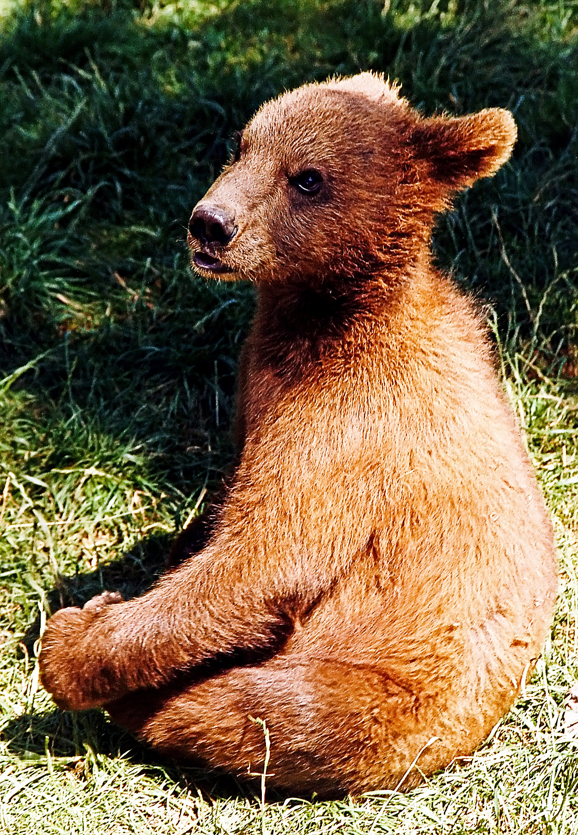 Ich sitze gut hier