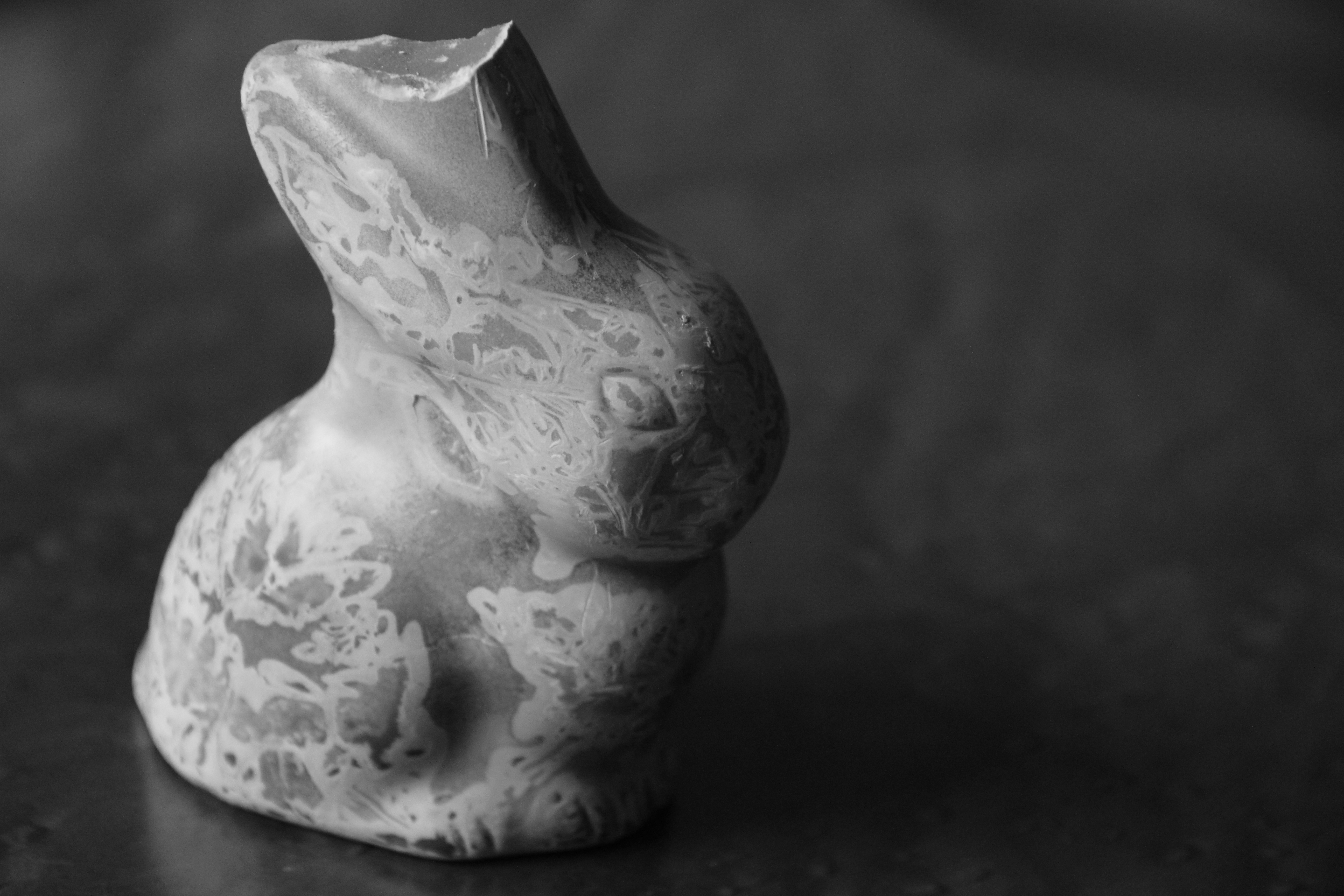 abgelaufener Hase zum Anbeißen