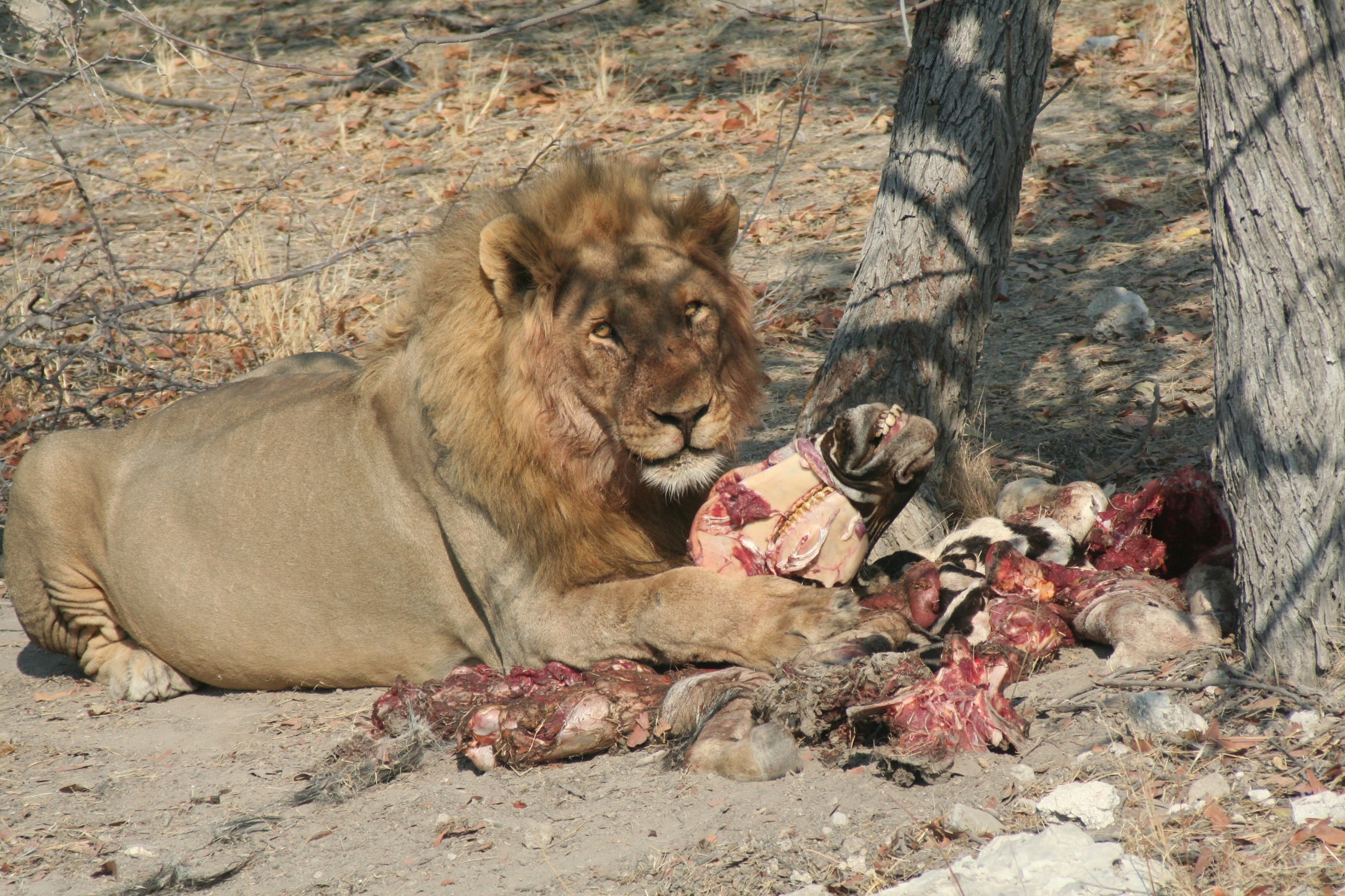 Urlaub in Namibia